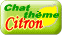 Chat Citron